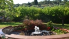 Fontana del Casale