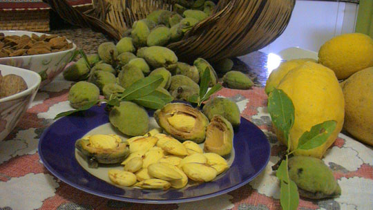 mandorle-limoni particolare