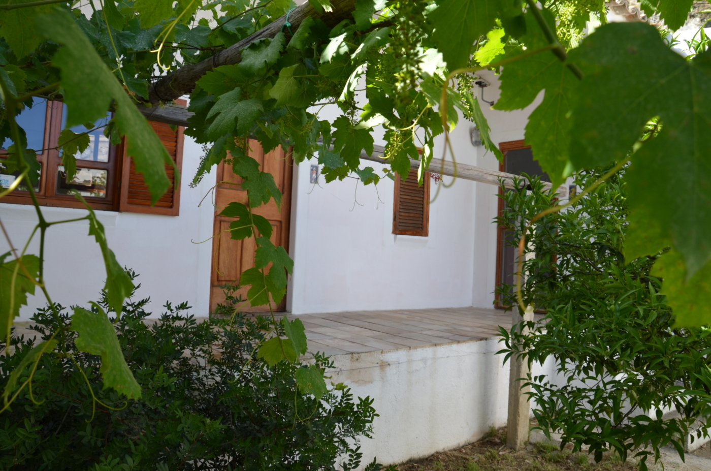 scorcio vergine leone