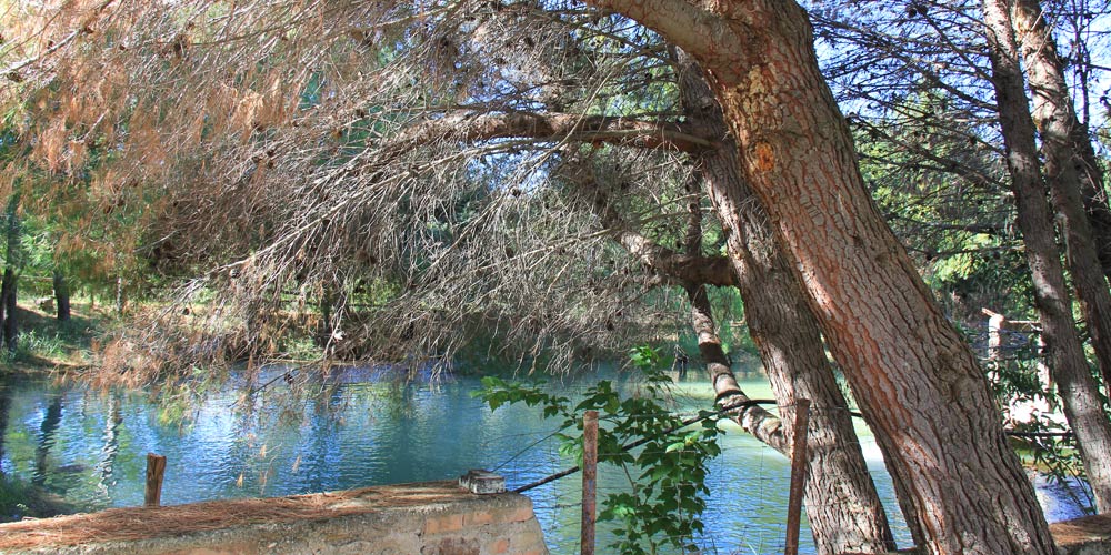 particolare impressionista