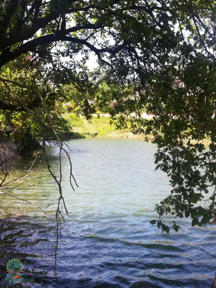 particolare laghetto