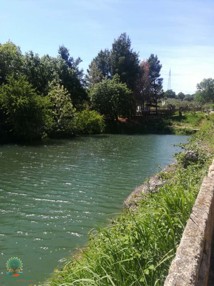 suite borgo piazza (5)