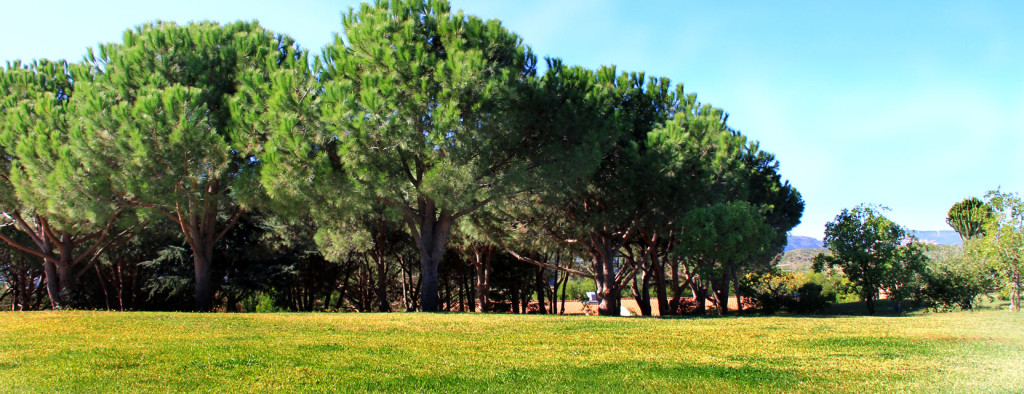 eventi borgo piazza wedding country (3)