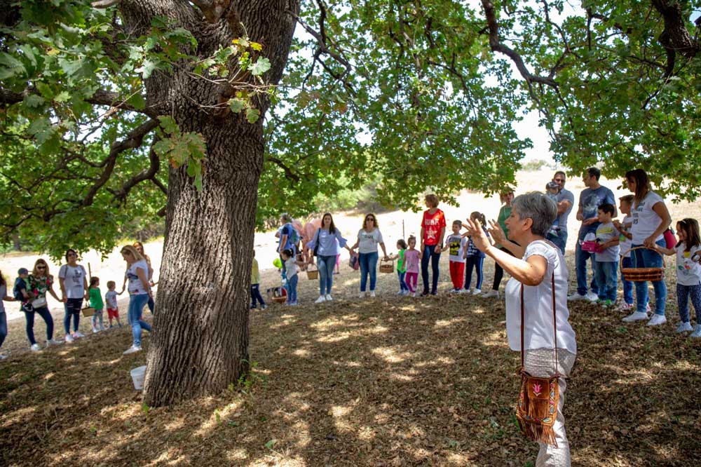 natura-e-benessere-a-catanzaro