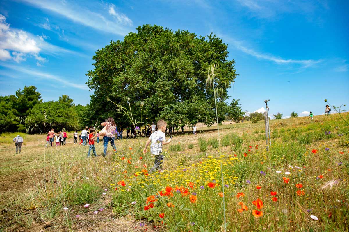 natura-e-benessere-a-catanzaro2
