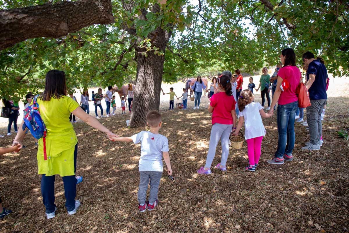 abbraccio alla grande quercia